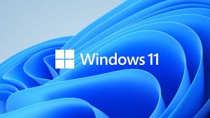 Read more about the article Fix slow browsers in Windows 11